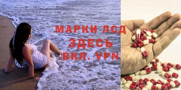 мдпв Белокуриха