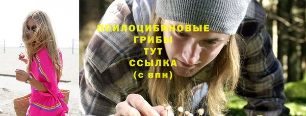 мдпв Белокуриха